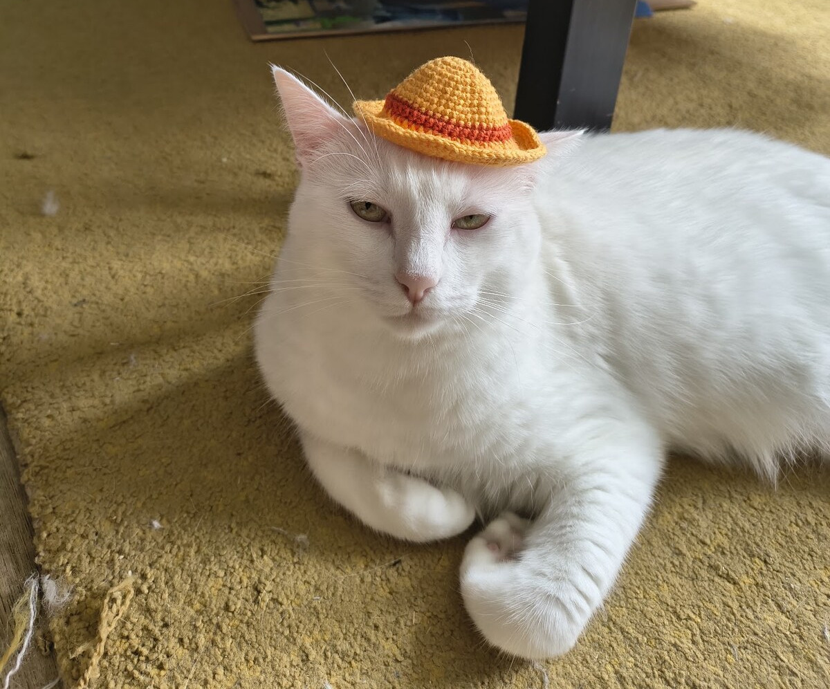 Nube, a white cat, lying on the carpet wearing the small yellow crochet straw hat
